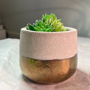 Faux Succulent in Two-Toned Pot